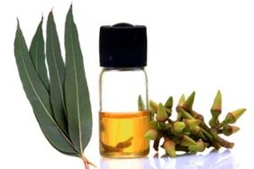 Olio di eucalipto per il trattamento di onicomicosi